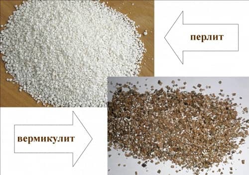 Vermikulit i perlit - v chem raznica